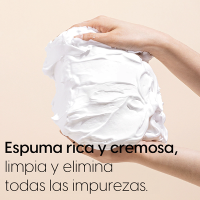 HOUTTUYNIA CORDATA + TEA TREE CLEANSING FOAM